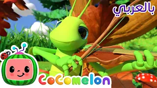 Cocomelon Arabic أغاني كوكو ميلون بالعربي اغاني اطفال ورسوم متحركة أغنية النملة والجراد 