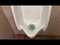 The Copper Kettle Restaurant Men s Restroom