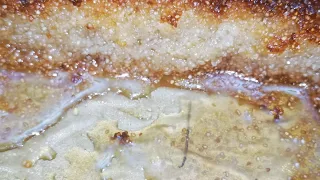 وصفة قلب اللوز لذيذة جدا للشاف فارس جيدي الو شاف ناجحة 100 100 Allo Chef وصفتي معتمدة من سنين 