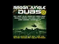 Download Lagu Various - Ragga Jungle Anthems Vol. 3: Ragga Jungle Dubs (2007)