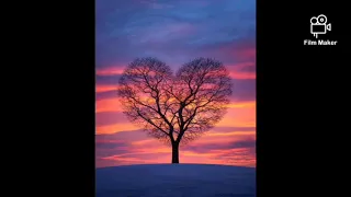 jameson fokx u0026 binno rsa x danny d matured piano private school piano kota amapiano