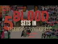 5 Blood Sets In New York New York Gangs