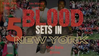5 Blood Sets In New York New York Gangs