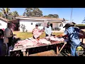 Download Lagu CARNEADA de PORCO CAIPIRA no SITIO do SACATA | LINGUIÇA, TOUCINHO e MUITA TRADIÇÃO!
