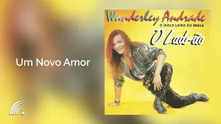 Wanderley Andrade -Um Novo Amor - O Ladrão
