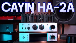 Cayin HA2A Tube Amp Review A beginners tube amplifier of choice