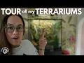 Download Lagu Begonia, Anthurium, Alocasia: Terrariums Tour | Plant with Roos
