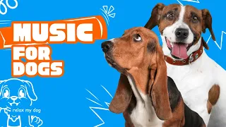 Watch This Video to Relax Your Dog!