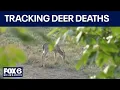 Washington County deer deaths Wisconsin DNR investigates FOX6 News Milwaukee