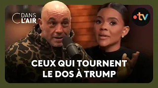 Les influenceurs américains et la politique