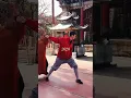 Download Lagu Evolution of toughening up my body. Iron body training at the Shaolin Tempel in china 🇨🇳.#ironbody