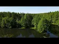 Drone footage | Franz Gordon - Days of Healing