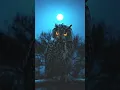 Download Lagu Dangerous Owl Sound | Dangerous owl | p ranjeet