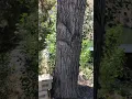 Lake Simtustus Resort walk through
