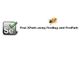 Find XPATH using FireBug and FirePath