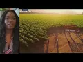 The Kings of Napa Actress Ebonee Noel talks family business