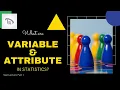 Variable and Attribute in Statistics