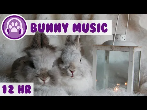 Download MP3 Music For Rabbits - Soothe and Calm Your Rabbit Instantly!🔴