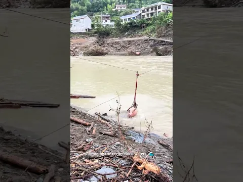 Incredible Rescue: Flying a Giant Pig Across the Flood via Zip-line! #rescue #animals