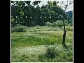Download Lagu Kiyoshi Mizutani - Yokosawa-iri (Full Album)