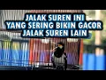 Download Lagu JALAK SUREN  MEMBUAT BRISIK GACOR KOAR KOAR JALAK DIRUMAH #jalaksuren