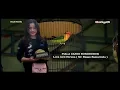 Download Lagu PIALA CANDI BOROBUDUR : Aksi love bird Haruka milik Om Hasan Samarinda