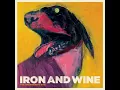 Iron and Wine - Resurrection Fern