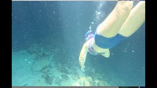 VIEW THE UNDERWATER CAVE AT NORMAN’S POND CAY, EXUMA CAYS, BAHAMAS