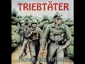 Triebtäter - Hunde Des Krieges