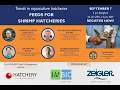 Download Lagu Trends in aquaculture hatcheries: Feeds for shrimp hatcheries