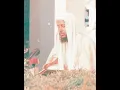 Download Lagu Surah Al-Baqarah | Muhammad Ayyub
