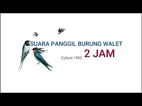 Download MP3 SUARA PANGGIL BURUNG WALET  TERBAIK, DURASI PANJANG!! AMPUH