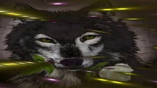 نشيد أعجبني ولا أقصد به أحد يا قوم 