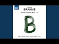 Download Lagu Violin Sonata No. 1 in G Major, Op. 78 \