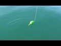 Download Lagu Baru Kali Ini Saya Mancing Seberuntung Ini,,Mancing Strike Strike Kakap Dan Krapuh