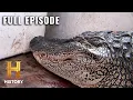 One-Handed Hunt After Brutal Gator Bite S4 E5 Swamp People Full Episode