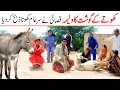 Download Lagu | Ramzi,Noori, Bilo ,Bhootna,Shoki, Sanam, Falak Sher,Funny Video  Rachnavi Tv