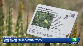 Volunteers preserve nature and history at Wakamatsu Farm