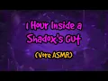 1 Hour Inside a Shadox's Gut (Vore ASMR)