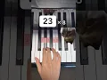 Download Lagu chipi chipi chapa chapa dubi dubi daba daba (Piano Tutorial) #cat