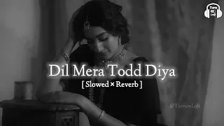 dil mera tod diya usne slowed u0026 reverb alka yagnik dil mera tod diya usne bura kyu manu lofi