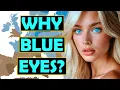 Download Lagu What is the Origin \u0026 Reason for Blue Eyes?