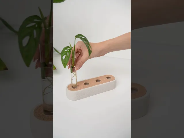 QUARTIS Propagation Station – Minimal 4 Tube Plant Holder video thumbnail