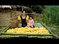 Download Lagu Building a Large Bamboo Deck in the Wilderness - Harvesting Corn with My Little Daughter