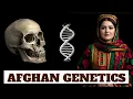 Download Lagu Scientists Reveal Surprising Origins of Afghan DNA