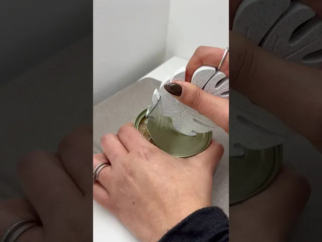 Monstera Leaf Can Opener & Coaster β Stylish & Functional Kitchen Tool! + Freebie Monstera Keychain video thumbnail