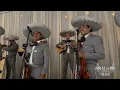 Mariachi Alas De México  -  Guadalajara