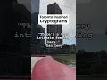 Trawnograms Your Toronto-Inspired Cryptograms Explore Toronto my-toronto -puzzle