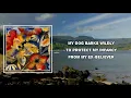 Adrianne Lenker - not a lot, just forever (Lyrics)
