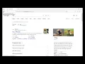 CS50 Web Programming with javascript and python Project 0 search demonstration